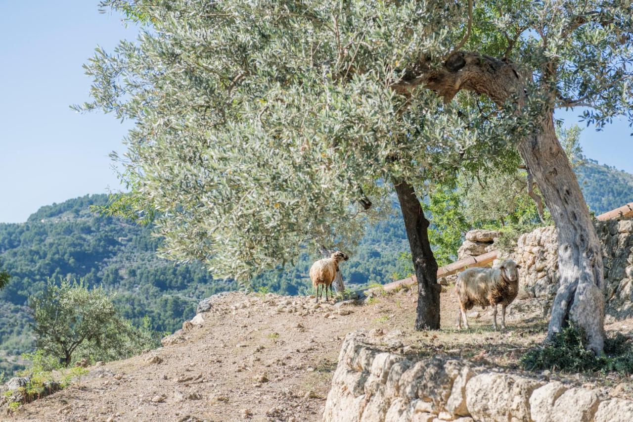 Raco De Soller Villa Ngoại thất bức ảnh